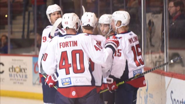 South Carolina Stingrays gather after a goal
