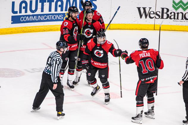 Cincinnati Cyclones celebrate after a goal against the Wheeling Nailers