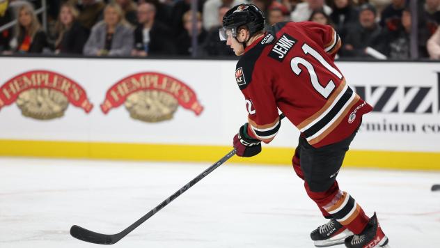 Tucson Roadrunners' Jan Jenik in action