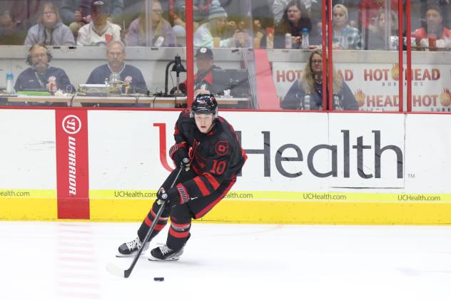 Cincinnati Cyclones forward Matej Pekar