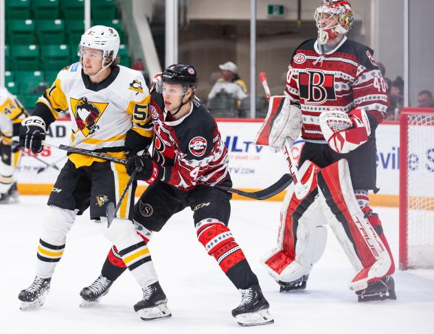 Wilkes-Barre/Scranton Penguins' Filip Hållander and Belleville Senators' Taylor Fedun and Dustin Tokarski