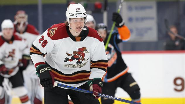 Tucson Roadrunners' Curtis Douglas on game night