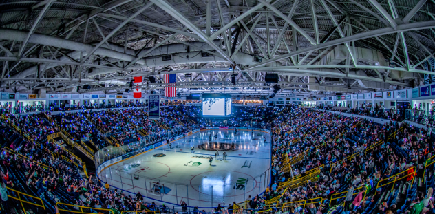 The crowd at a Florida Everblades game