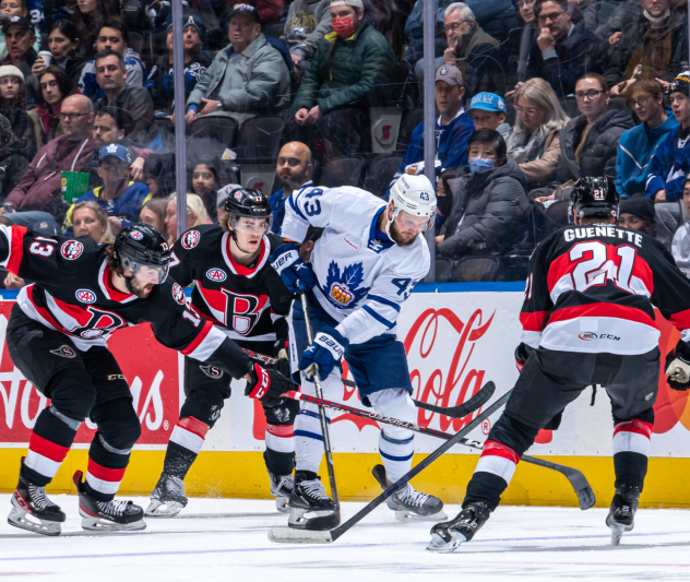 Belleville Senators battle the Toronto Marlies