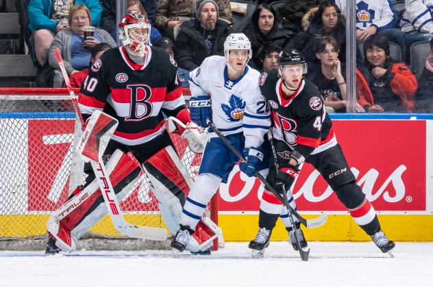 Belleville Senators goaltender Mads Sogaard vs. the Toronto Marlies