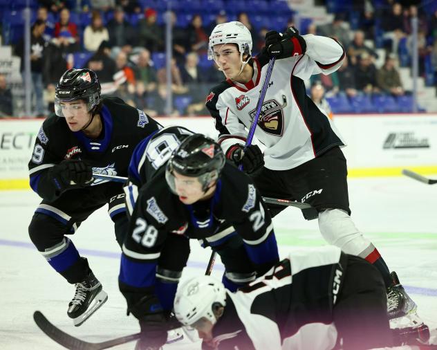 Victoria Royals' Riley Gannon vs. Kelowna Rockets' Ty Thorpe