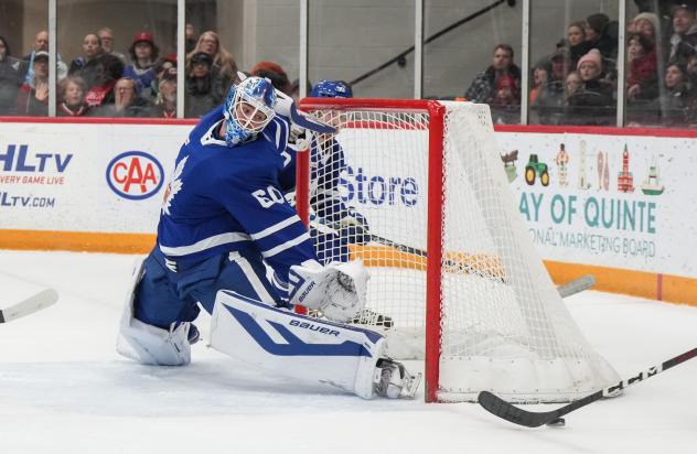 Toronto Marlies' Joseph Woll on game night