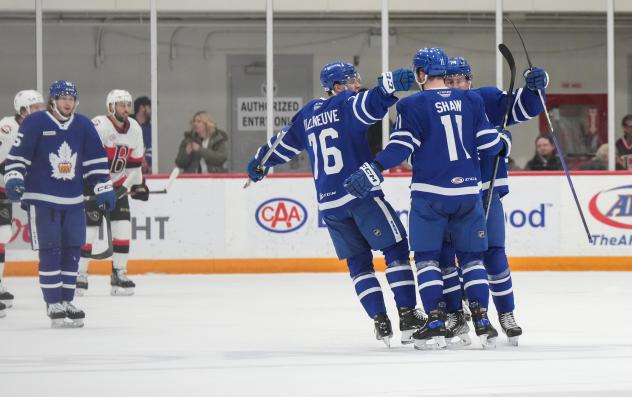 Toronto Marlies celebrate win