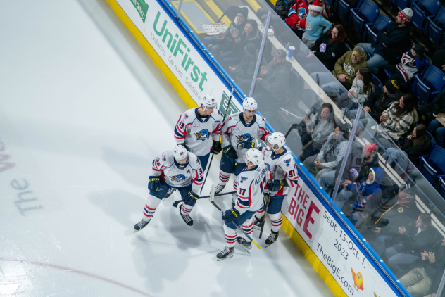 Springfield Thunderbirds huddle
