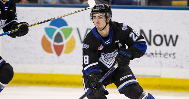 Victoria Royals right wing Riley Gannon
