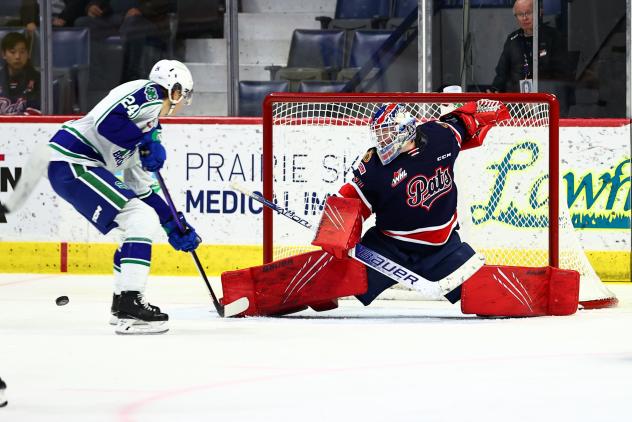 Regina Pats goaltender Matthew Kieper
