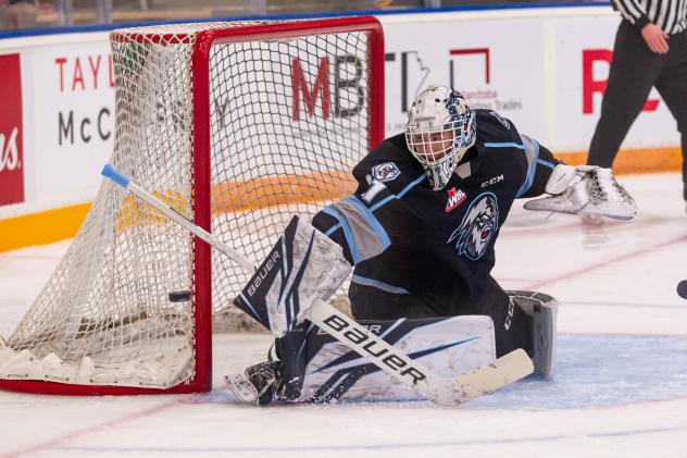 Winnipeg ICE goaltender Daniel Hauser