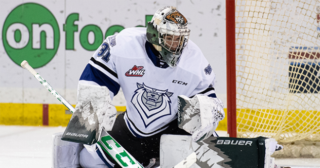 Victoria Royals goaltender Tyler Palmer