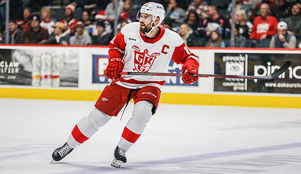 Grand Rapids Griffins defenseman Brian Lashoff