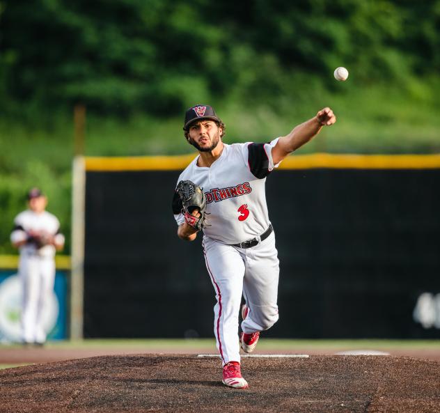 Washington Wild Things pitcher Kobe Foster