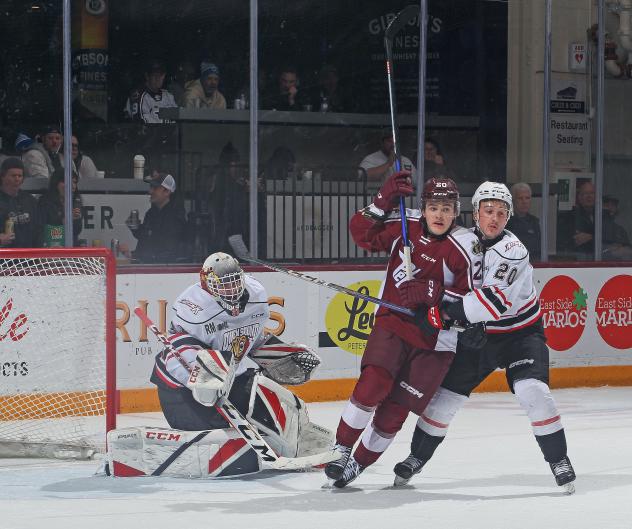 Peterborough Petes' Samuel Mayer battles Owen Sound Attack's Matthew Papais