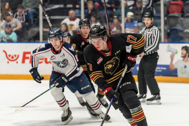 Vancouver Giants' Matty Edwards in action