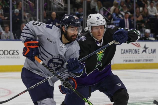 Jacksonville Lizard Kings battle the Greenville Swamp Rabbits