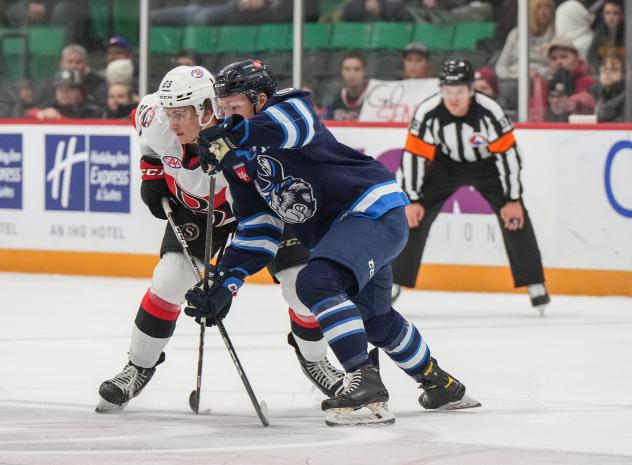 Belleville Senators' Cole Reinhardt Battles the Manitoba Moose