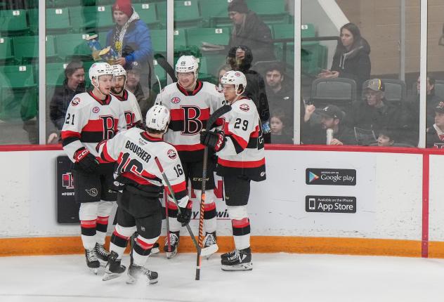 Belleville Senators celebrate win