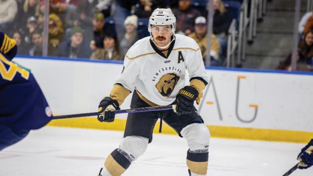 Zach O'Brien of the Newfoundland Growlers