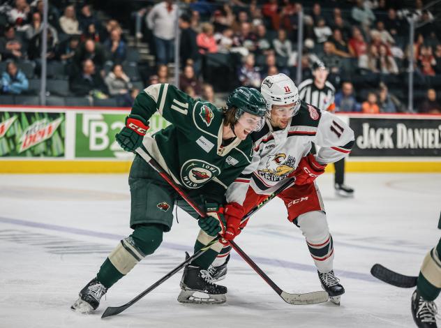 Iowa Wild's Adam Beckman battles grand rapids griffins' Joel L'Esperance