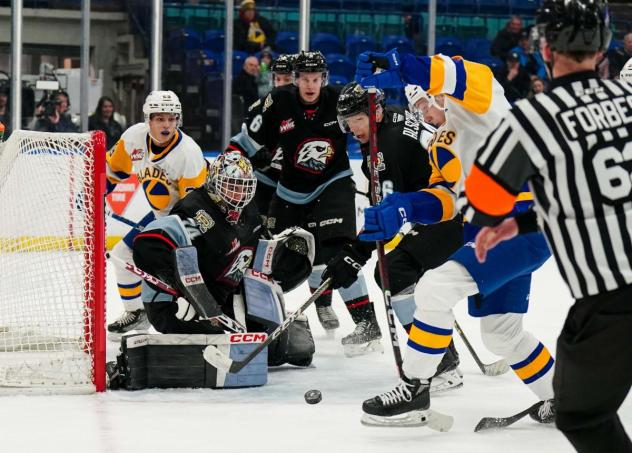 Saskatoon Blades battle the Portland Winterhawks