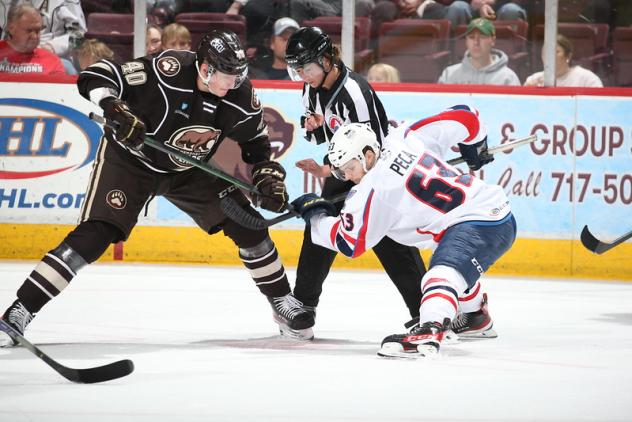 Hershey Bears' Aliaksei Protas Battles Springfield Thunderbirds' Matthew Peca