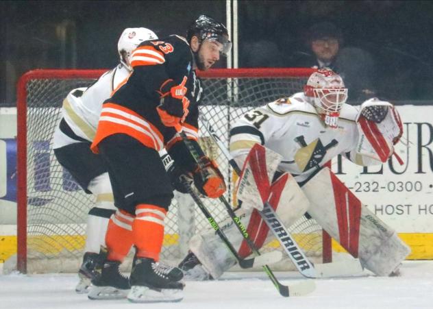 Fort Wayne Komets' Anthony Petruzzelli And Wheeling Nailers' Goalie Bailey Brkin In Action