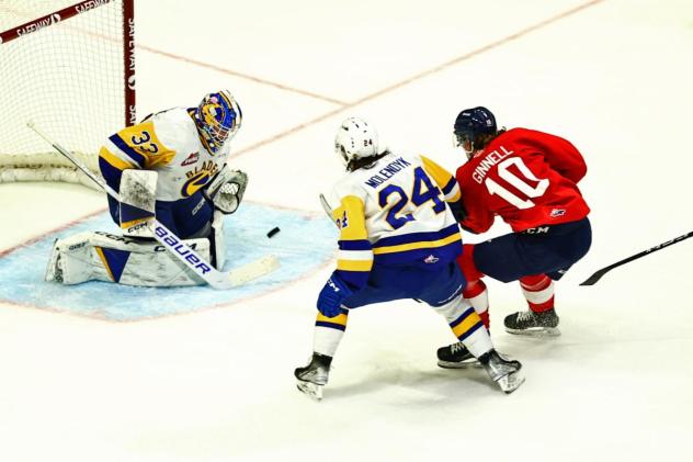 Saskatoon Blades' Ethan Chadwick and Matthew Sanders battle Regina Pats' Riley Ginnell