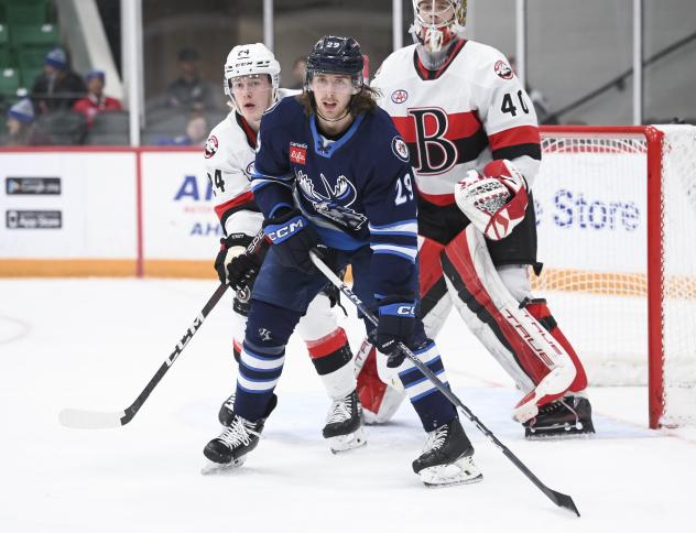 Manitoba Moose's Alex Limoges and Belleville Senators' Jacob Bernard-Docker and Mads Sogaard on game night