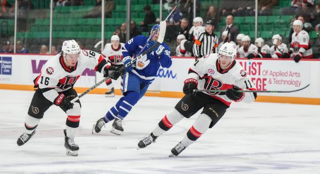 Belleville Senators' Matthew Boucher And Kyle Betts Versus Toronto Marlies' Joseph Blandisi