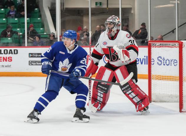 Toronto Marlies' Nick Abruzzese and Belleville Senators' Goalie Kevin Mandolese in action