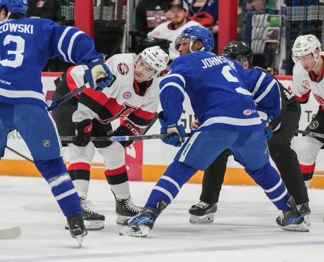 Belleville Senators and the Toronto Marlies on game night