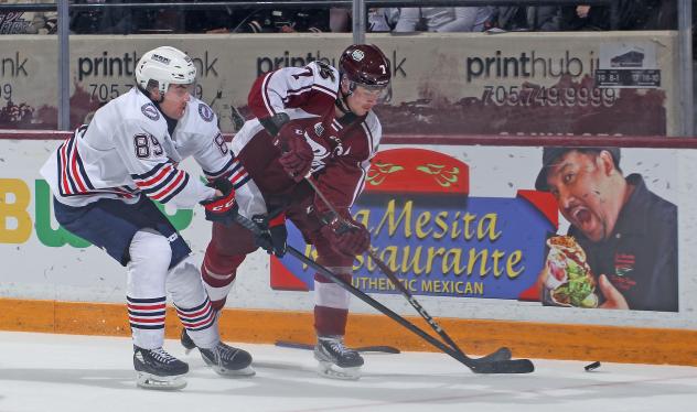 Oshawa Generals' Luke Torrance battles Peterborough Petes' Shawn Spearing