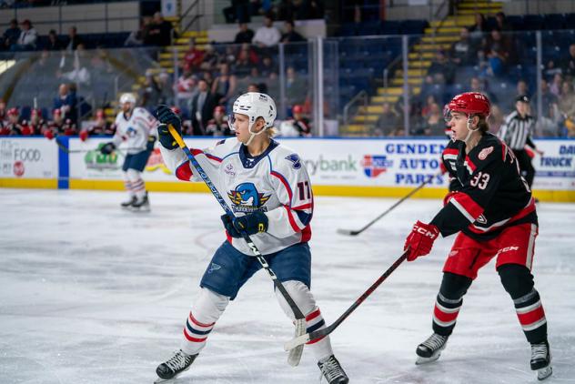 Springfield Thunderbirds forward Nikita Alexandrov