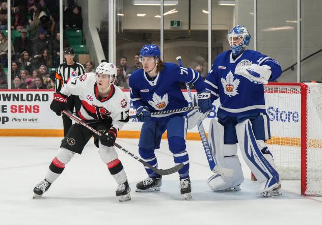 Belleville Senators' Ridly Greig and Toronto Marlies' Adam Gaudette and Erik KÃ¤llgren in action