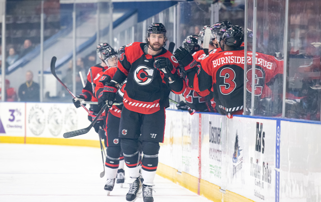 Cincinnati Cyclones exchange fist bumps along the bench