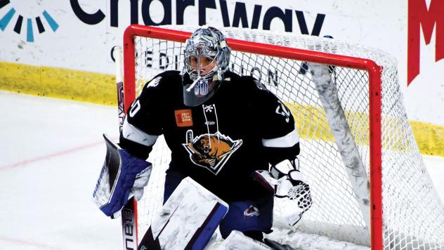 Utah Grizzlies goaltender Trent Miner