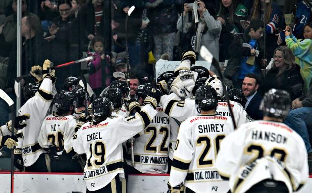 Bismarck Bobcats celebrate a win