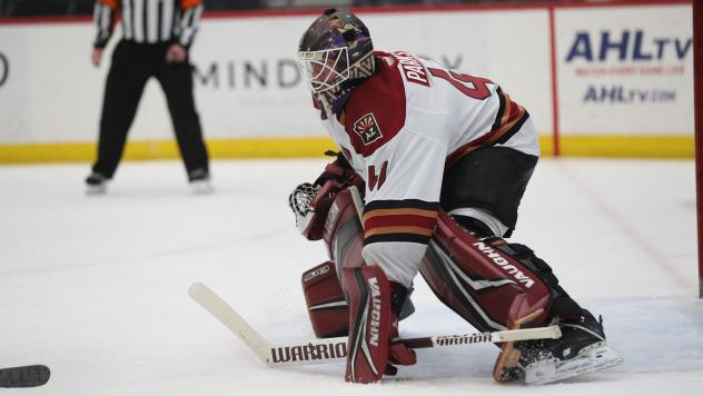 Tucson Roadrunners' Tyler Parks in action