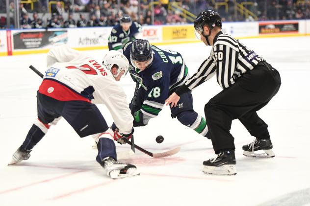 South Carolina Stingrays' Jonny Evans and Florida Everblades' Xavier Cormier in action