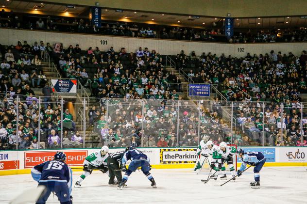 Texas Stars face off with the Milwaukee Admirals