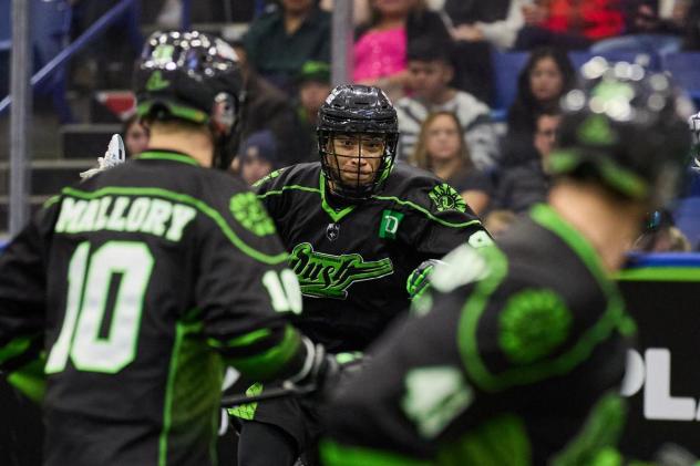 Saskatchewan Rush in action