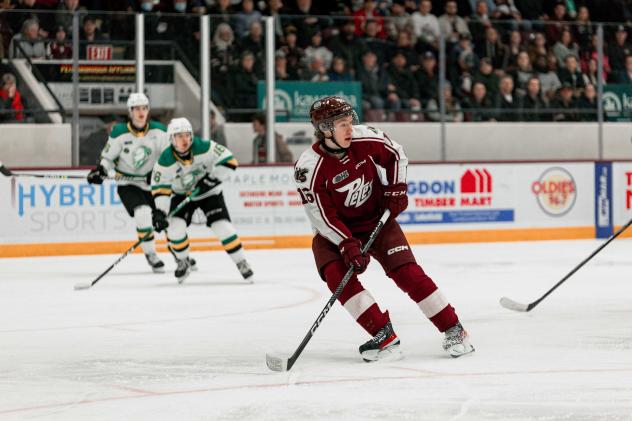 Peterborough Petes forward Owen Beck