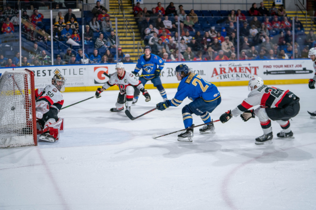 Springfield Thunderbirds battle the Belleville Senators