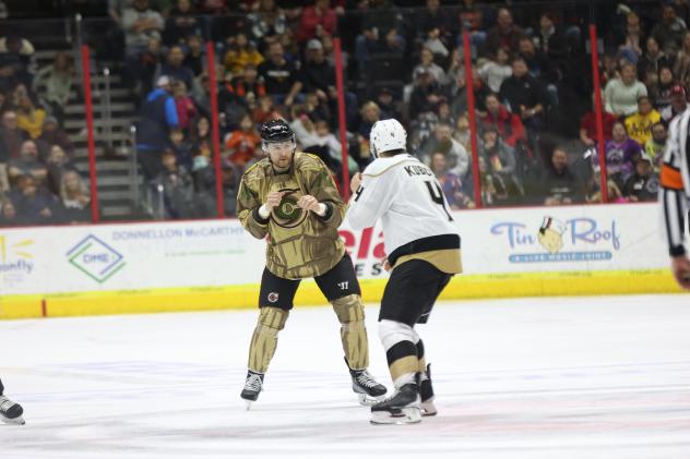 Cincinnati Cyclones' Sean Allen battles Newfoundland Growlers' Simon Kubicek