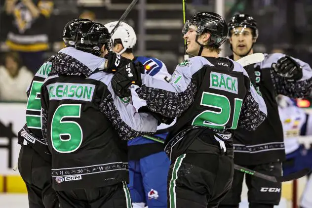 Texas Stars' Ben Gleason And Oskar Back Celebrate Win