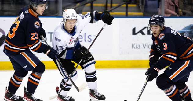 Victoria Royals' Marcus Almquist in action