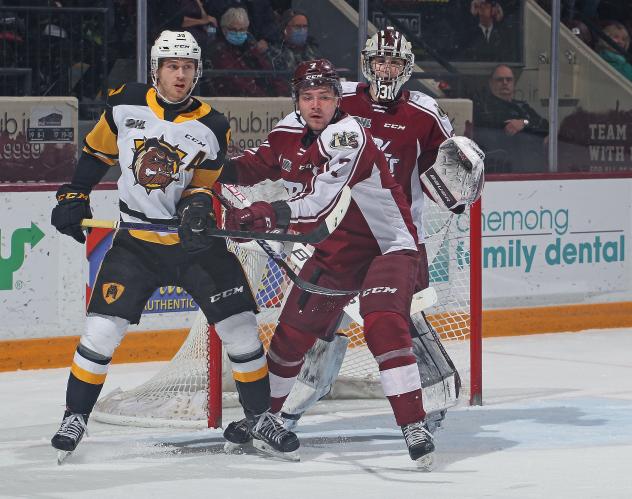 Peterborough Petes battle the Hamilton Bulldogs